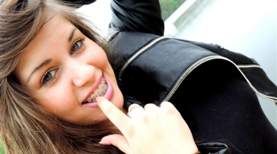 LillyTrans Vorschaubild